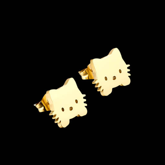 Pendientes de Moda de Acero y Titanio