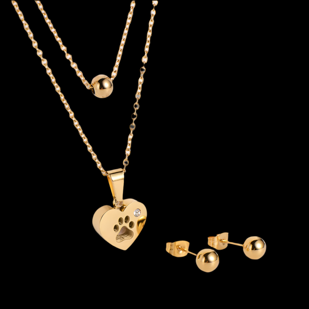 Conjunto de Cadena y Pendientes de Acero Inoxidable de Estilo Coreano