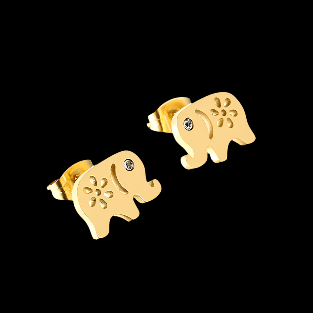 Pendientes de Moda Geométrica Acero Inoxidable y Acero Titanio